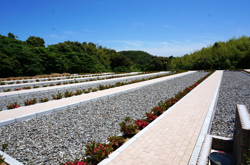 写真:新区画2